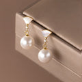 Fashion Shell Pearl Earrings